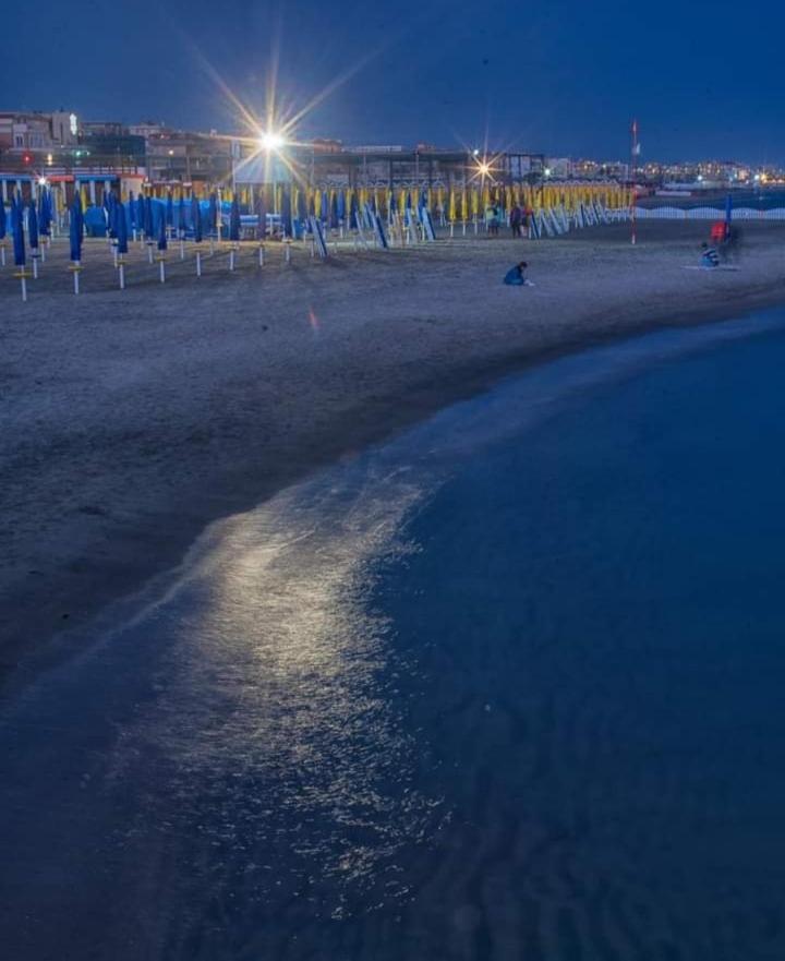 Rome Sea Lägenhet Lido di Ostia Exteriör bild