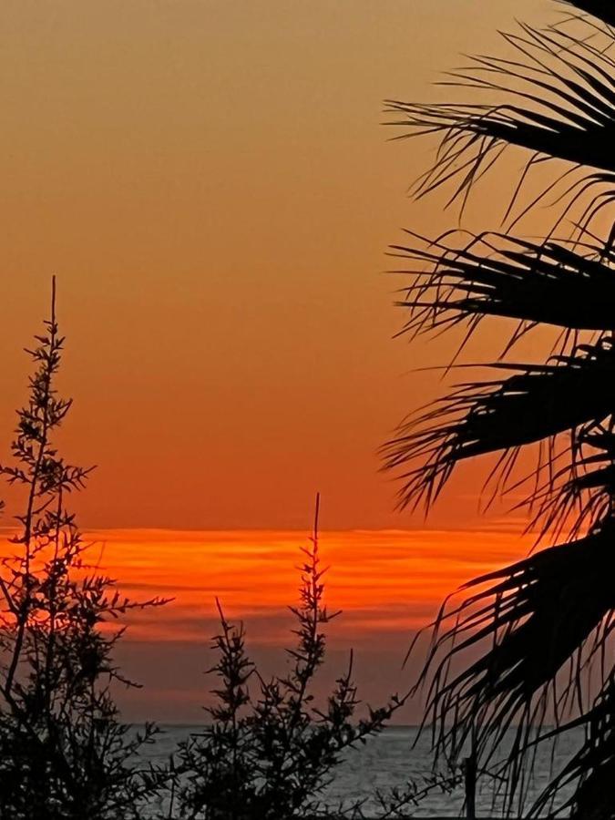 Rome Sea Lägenhet Lido di Ostia Exteriör bild